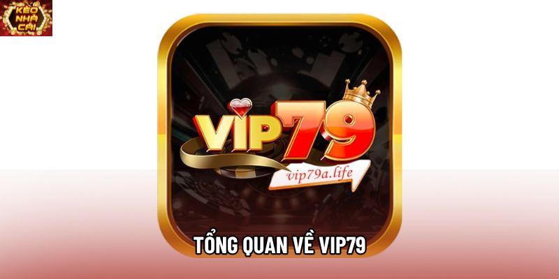 Tổng quan về Vip79