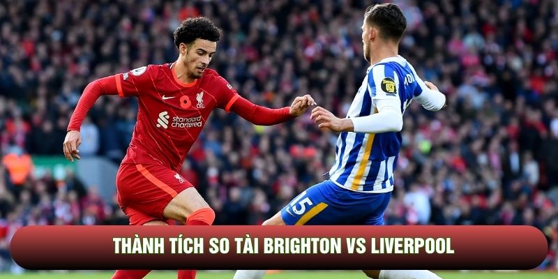 Thành tích so tài Brighton vs Liverpool Thành tích so tài Brighton vs Liverpool